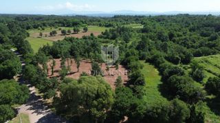 Land - Sale - ISTARSKA - BARBAN - BARBAN