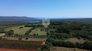 Land - Sale - ISTARSKA - BARBAN - BARBAN