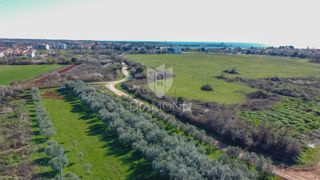 Land - Sale - ISTARSKA - UMAG - UMAG