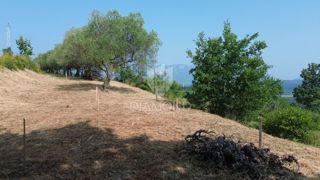 Land - Sale - ISTARSKA - PIĆAN - PIĆAN