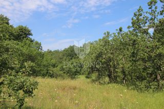 Land - Sale - ISTARSKA - LABIN - LABIN