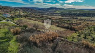 Land - Sale - ISTARSKA - BUJE - BUJE