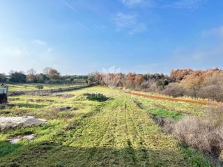 Land - Sale - ISTARSKA - MARČANA - KRNICA