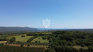 Land - Sale - ISTARSKA - BARBAN - BARBAN