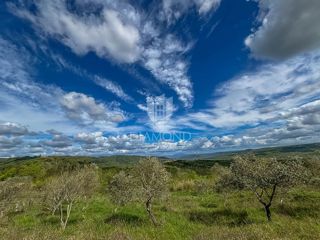 Land - Sale - ISTARSKA - BUJE - BUJE