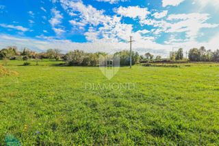 Land - Sale - ISTARSKA - OPRTALJ - OPRTALJ