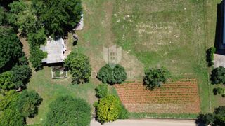 Land - Sale - ISTARSKA - BARBAN - BARBAN