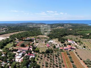 Land - Sale - ISTARSKA - ROVINJ - ROVINJ