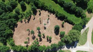 Land - Sale - ISTARSKA - BARBAN - BARBAN