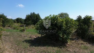 Zemljište - Prodaja - ISTARSKA - LABIN - LABIN