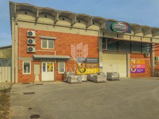 Business premises - Sale - ISTARSKA - NOVIGRAD - NOVIGRAD