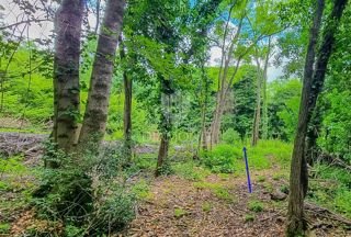 Land - Sale - ISTARSKA - BUJE - BUJE