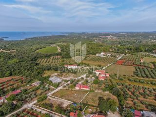Land - Sale - ISTARSKA - ROVINJ - ROVINJ