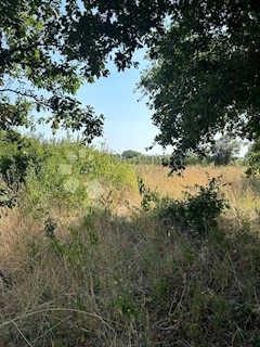 Land - Sale - ISTARSKA - LIŽNJAN - LIŽNJAN