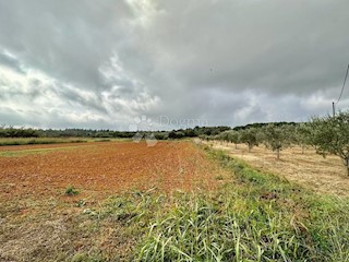 Zemljište - Prodaja - ISTARSKA - LIŽNJAN - LIŽNJAN