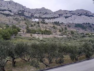 Land - Sale - SPLITSKO-DALMATINSKA - BRELA - BRELA