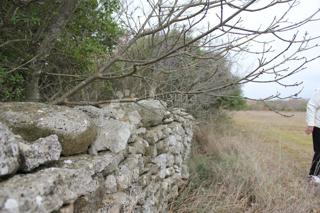 Land - Sale - ISTARSKA - VODNJAN - VODNJAN