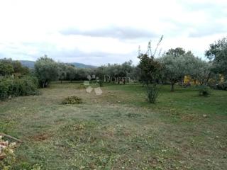 Land - Sale - ISTARSKA - MARČANA - RAKALJ