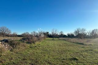 Land - Sale - ISTARSKA - VODNJAN - VODNJAN