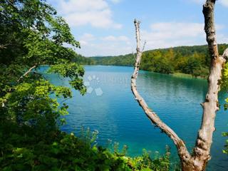 Land - Sale - LIČKO-SENJSKA - PLITVIČKA JEZERA - PLITVICA SELO
