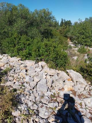 Land - Sale - ZADARSKA - DUGI OTOK - BOŽAVA