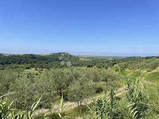 Zemljište - Prodaja - ISTARSKA - BUJE - BUJE