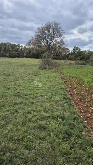 Zemljište - Prodaja - ISTARSKA - SVETVINČENAT - PUSTI