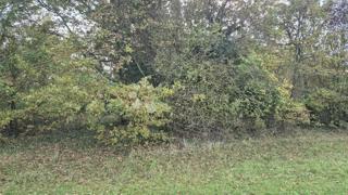 Zemljište - Prodaja - ISTARSKA - SVETVINČENAT - PUSTI