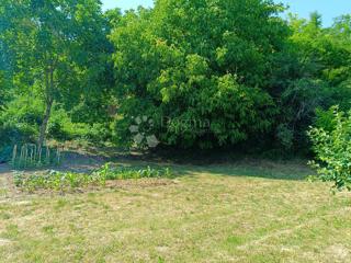 Kuća - Prodaja - OSJEČKO-BARANJSKA - DRAŽ - BATINA