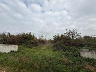 Zemljište - Prodaja - ISTARSKA - TAR-VABRIGA - TAR