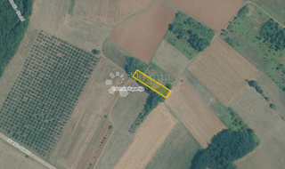 Zemljište - Prodaja - ISTARSKA - POREČ - DRAČEVAC