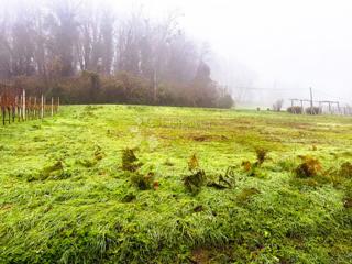 Grundstück - Verkauf - VARAŽDINSKA - IVANEC - IVANEC