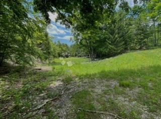 Zemljište - Prodaja - PRIMORSKO-GORANSKA - VINODOLSKA OPĆINA - BRIBIR