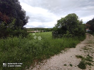 Land - Sale - ISTARSKA - PULA - PULA