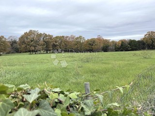 Land - Sale - ISTARSKA - MEDULIN - MEDULIN
