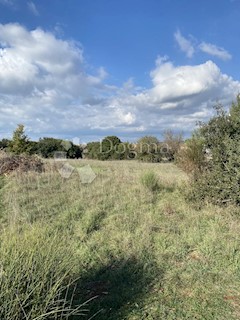 Land - Sale - ISTARSKA - PULA - PULA
