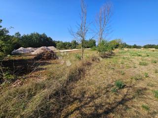 Land - Sale - ISTARSKA - ŽMINJ - ŽMINJ