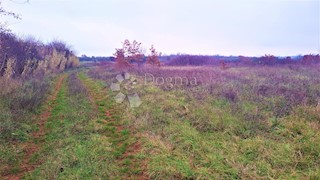 Land - Sale - ISTARSKA - UMAG - UMAG