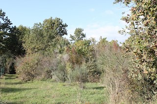 Land - Sale - ISTARSKA - VODNJAN - VODNJAN