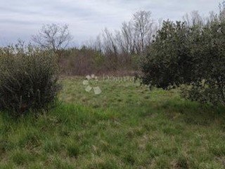 Land - Sale - ISTARSKA - UMAG - MURINE