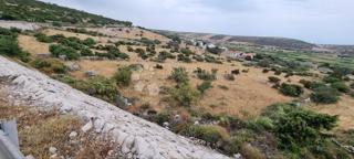 Land - Sale - ZADARSKA - PAG - KOLAN