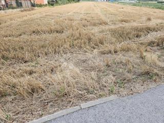 Grundstück - Verkauf - VARAŽDINSKA - JALŽABET - JALŽABET