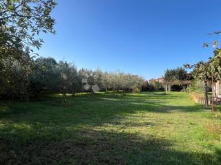Land - Sale - ISTARSKA - FUNTANA - FUNTANA