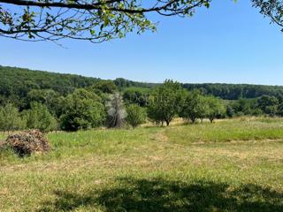 Land - Sale - OSJEČKO-BARANJSKA - NAŠICE - LONDŽICA