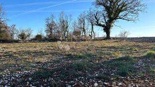 Land - Sale - ISTARSKA - KANFANAR - KANFANAR