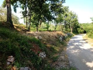 Land - Sale - ISTARSKA - BUZET - SOVINJAK