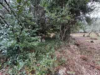 Land - Sale - PRIMORSKO-GORANSKA - KRK - GABONJIN