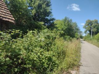 Kuća - Prodaja - SISAČKO-MOSLAVAČKA - GVOZD - ČREMUŠNICA