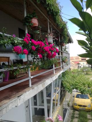 Kuća - Prodaja - SISAČKO-MOSLAVAČKA - SISAK - SISAK