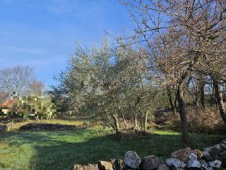 Zemljište - Prodaja - PRIMORSKO-GORANSKA - KRK - MALINSKA